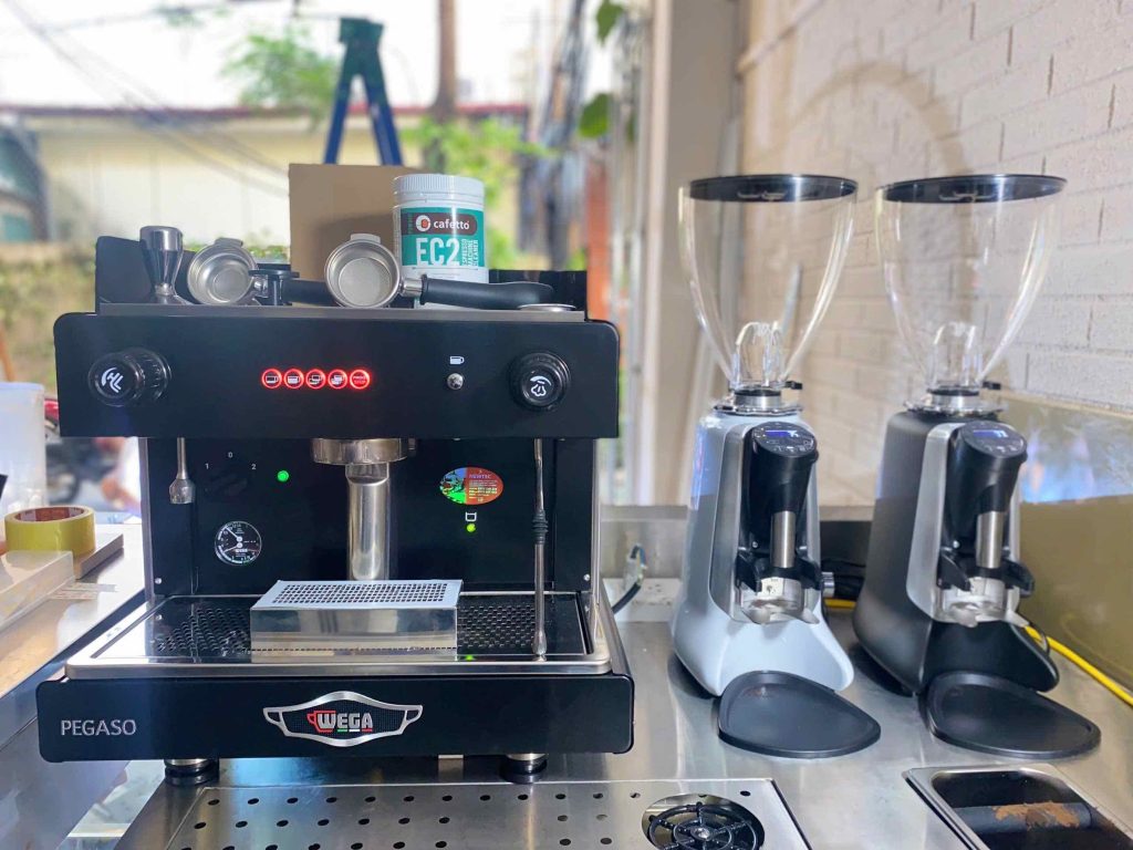 Wega pegaso 1 Group