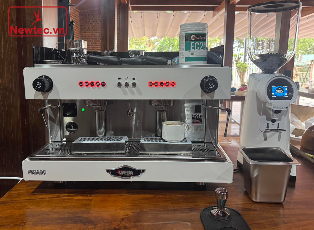 Wega Pegaso 2 Group