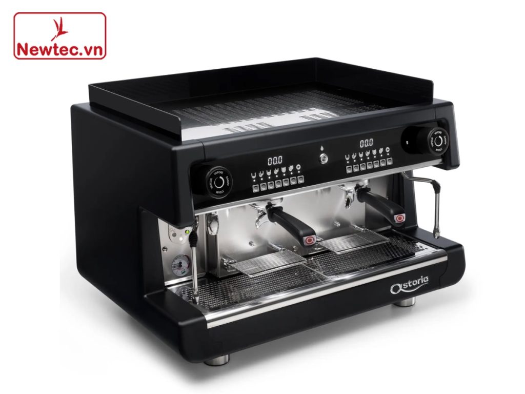 astoria holly wood – newtec